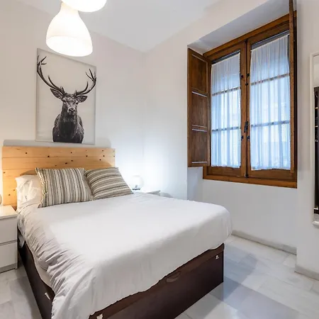 Vivienda Senorial Centro Cordoba