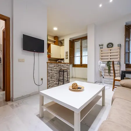Vivienda Senorial Centro Apartment
