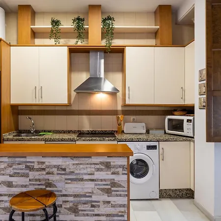 Vivienda Senorial Centro Apartment Cordoba