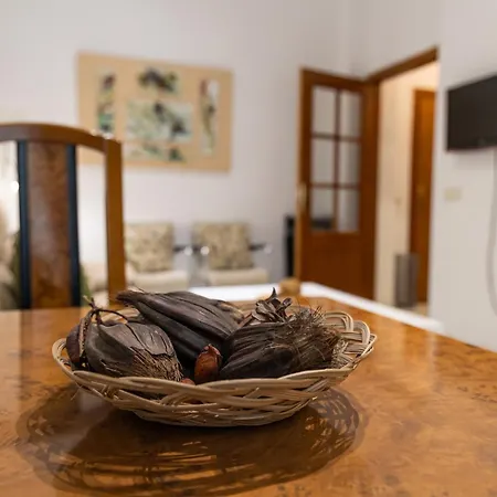 Centro Monumental Appartement