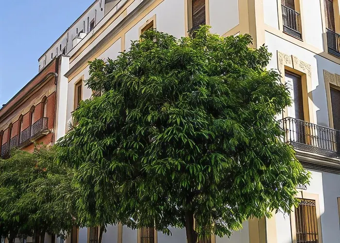 Center Monumental Apartment *